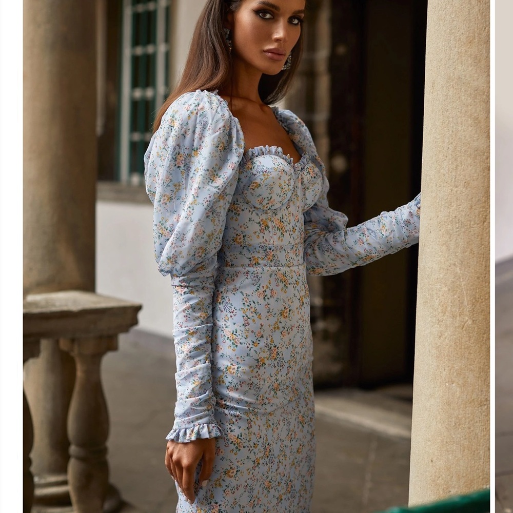 Alamoure The Label Elaine Dress